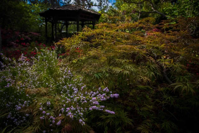 $99,000 | 46 Almendral Avenue, Atherton, CA 94027