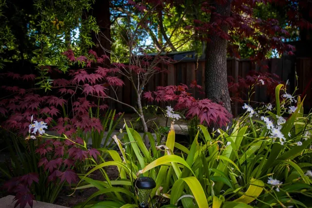 $99,000 | 46 Almendral Avenue, Atherton, CA 94027