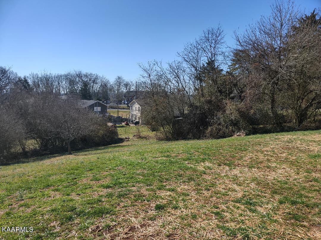 135 Utah Avenue Oak Ridge, TN 37830 - Photo 25 of 26 backyard