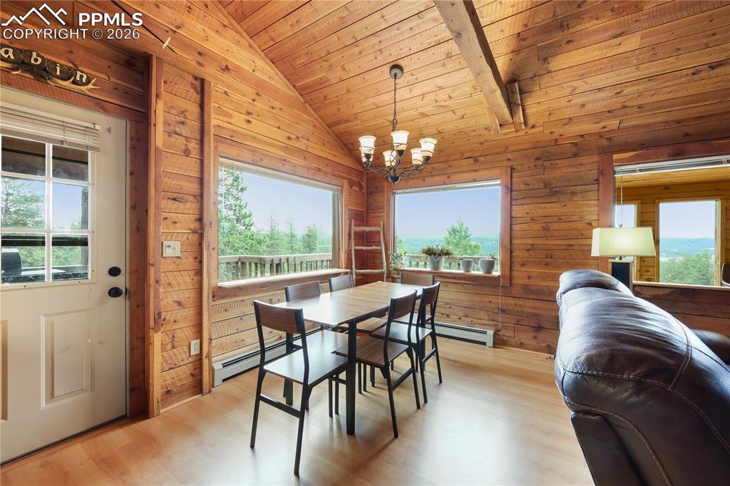 1721 Wildhorn Road Florissant, CO 80816 - Photo 30 of 48