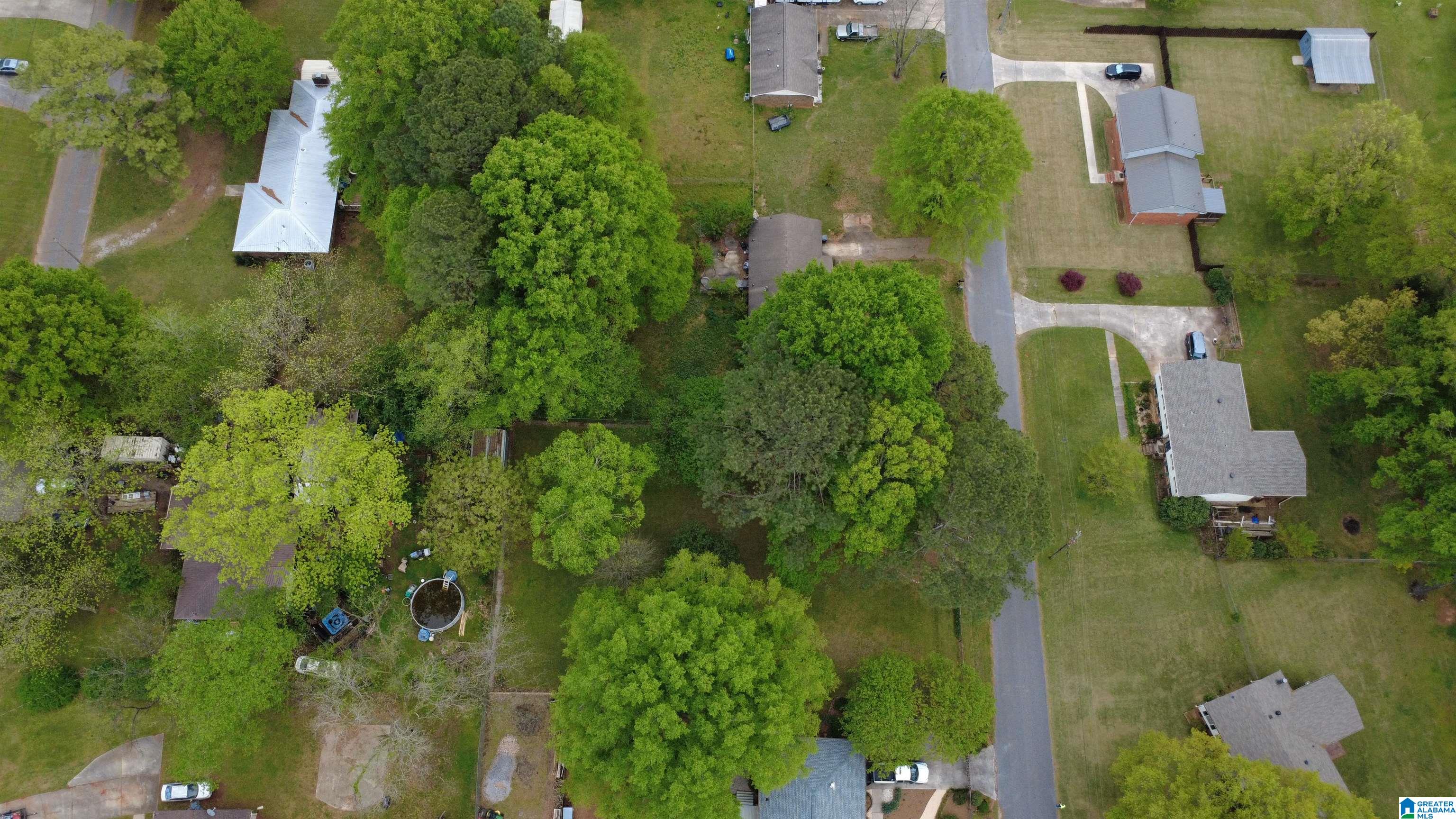 0 Strother Street Montevallo, AL 35115 - Photo 8 of 25