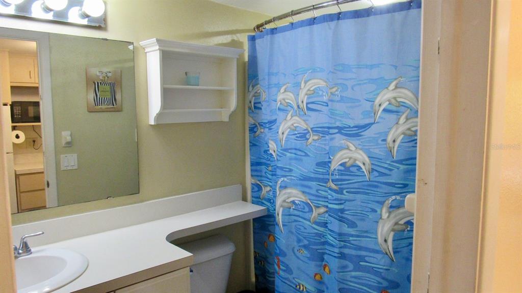 20861 Haulover Cove Road, Unit C4 Lutz, FL 33558 - Photo 11 of 22 a bathroom with a sink and a mirror