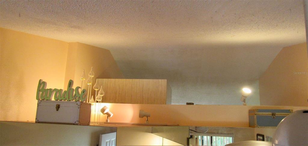 20861 Haulover Cove Road, Unit C4 Lutz, FL 33558 - Photo 10 of 22 a view of a terrace