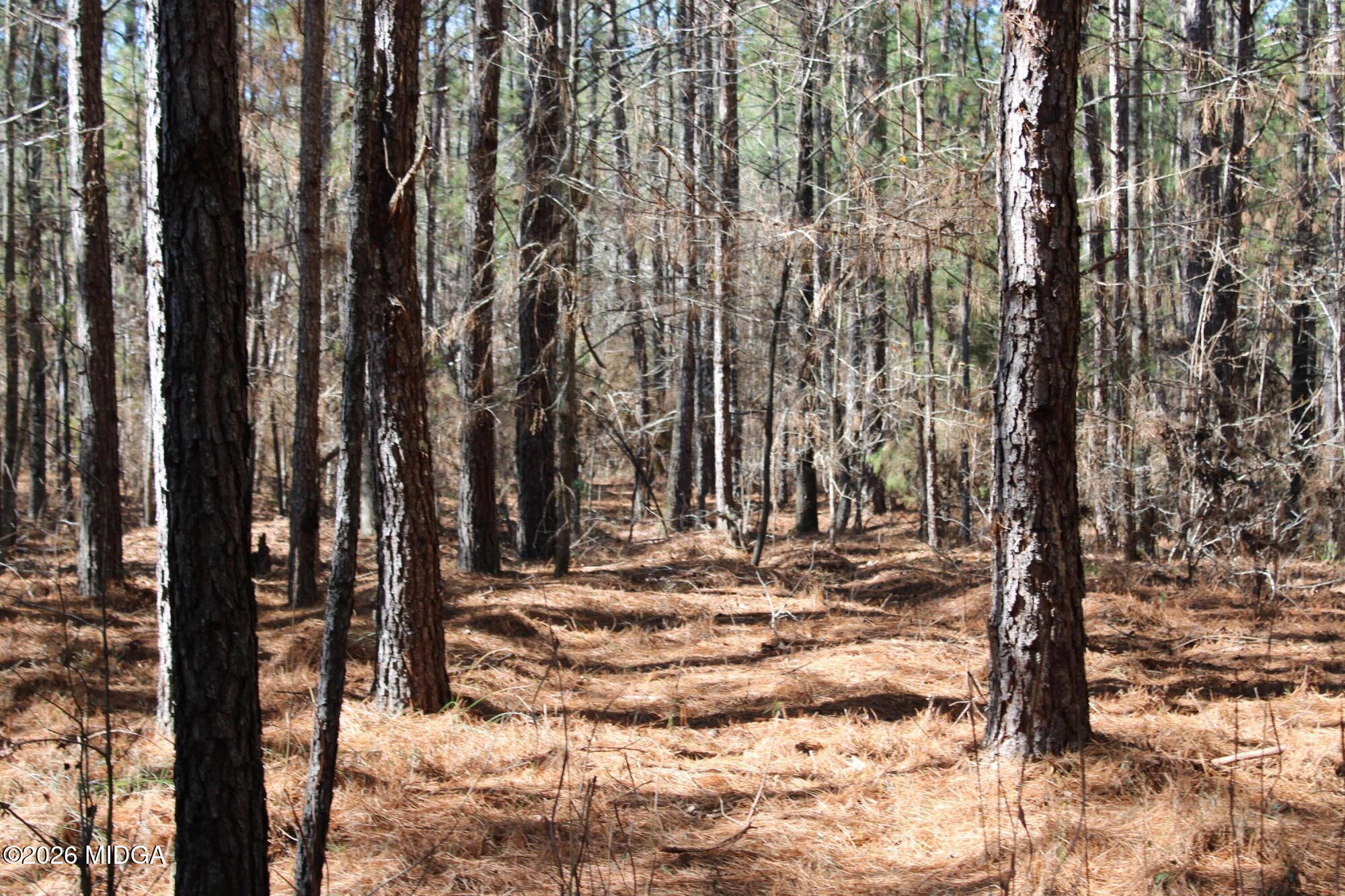 0 Highway 341 North Musella, GA 31066 - Photo 12 of 21 a view of a backyard of the house