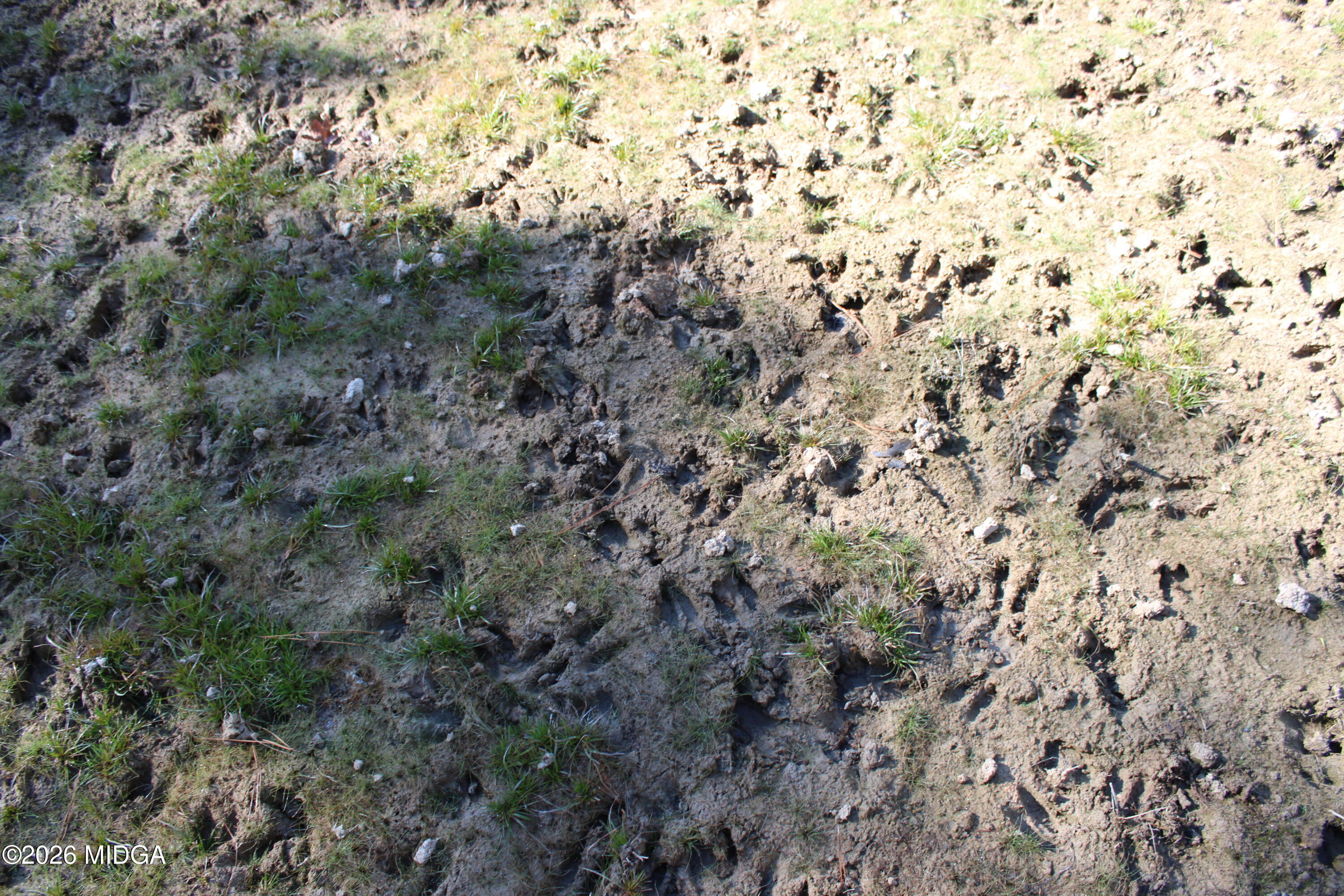 0 Highway 341 North Musella, GA 31066 - Photo 16 of 21 a view of a field