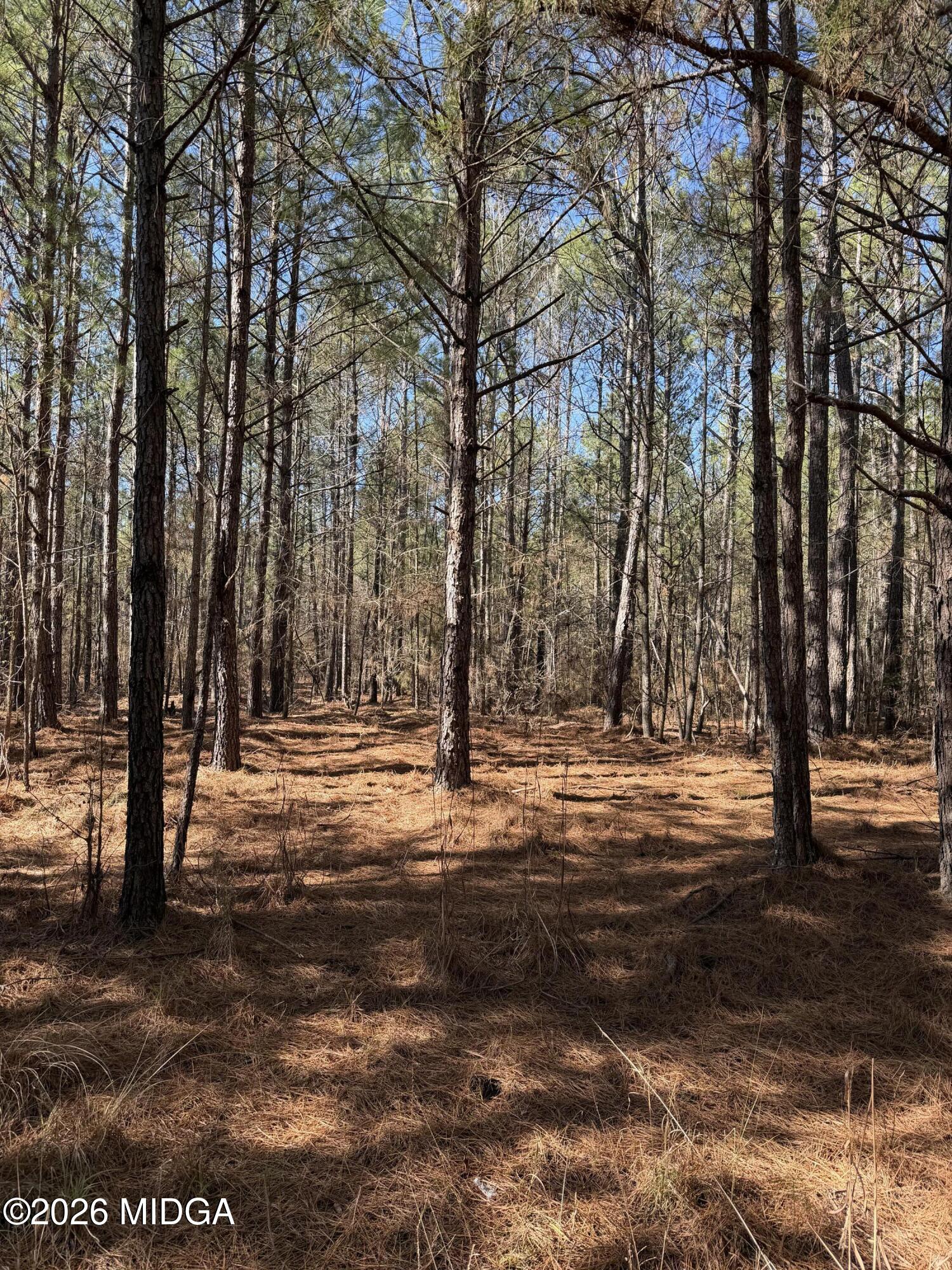 0 Highway 341 North Musella, GA 31066 - Photo 18 of 21 a backyard of a house with lots of green space