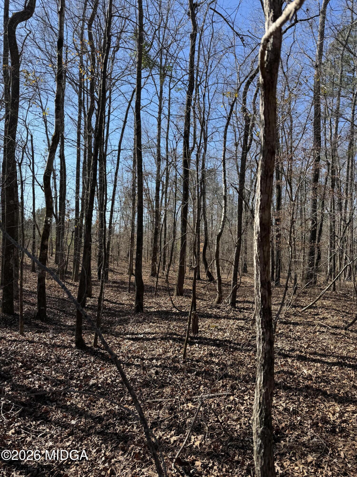 0 Highway 341 North Musella, GA 31066 - Photo 19 of 21 a view of a backyard of the house