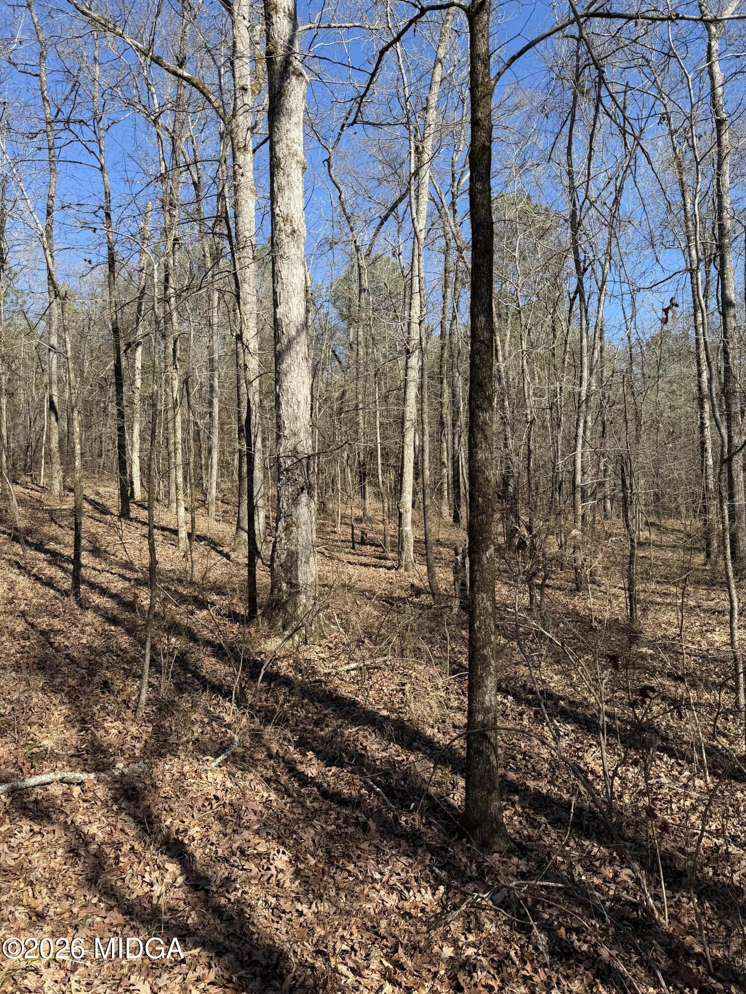 0 Highway 341 North Musella, GA 31066 - Photo 20 of 21 a view of a pathway of a house
