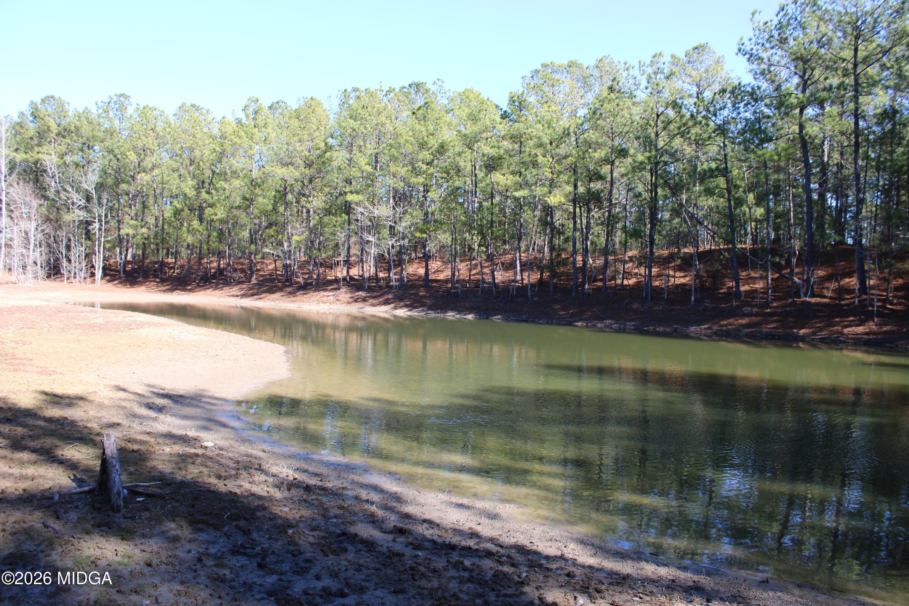 0 Highway 341 North Musella, GA 31066 - Photo 2 of 21