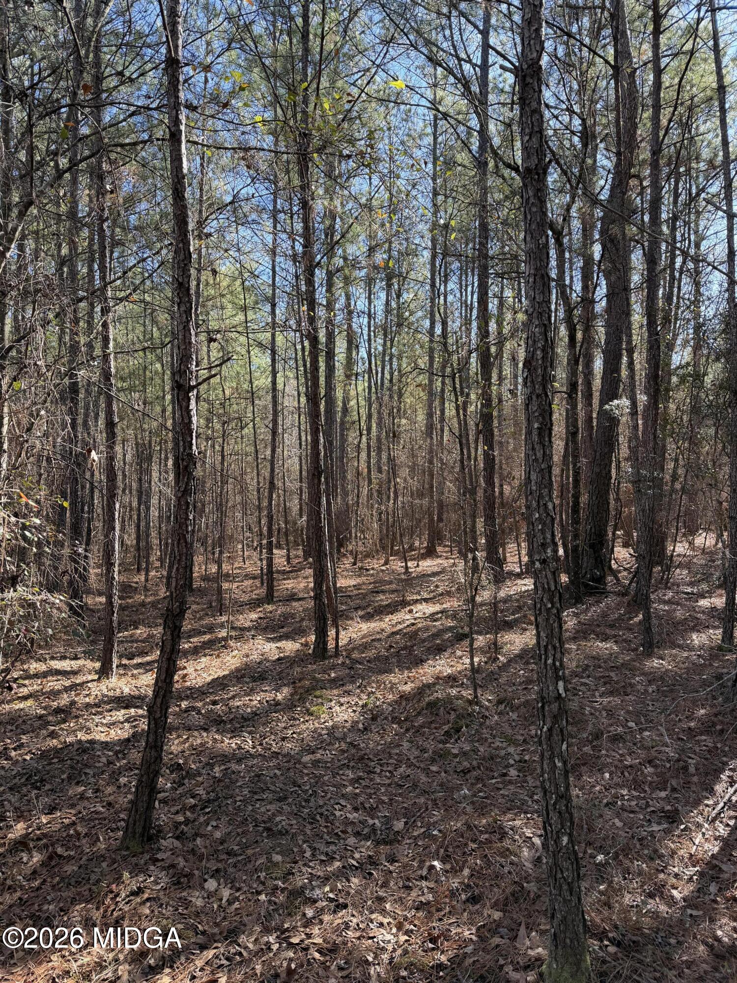 0 Highway 341 North Musella, GA 31066 - Photo 21 of 21 a backyard of a house with lots of green space
