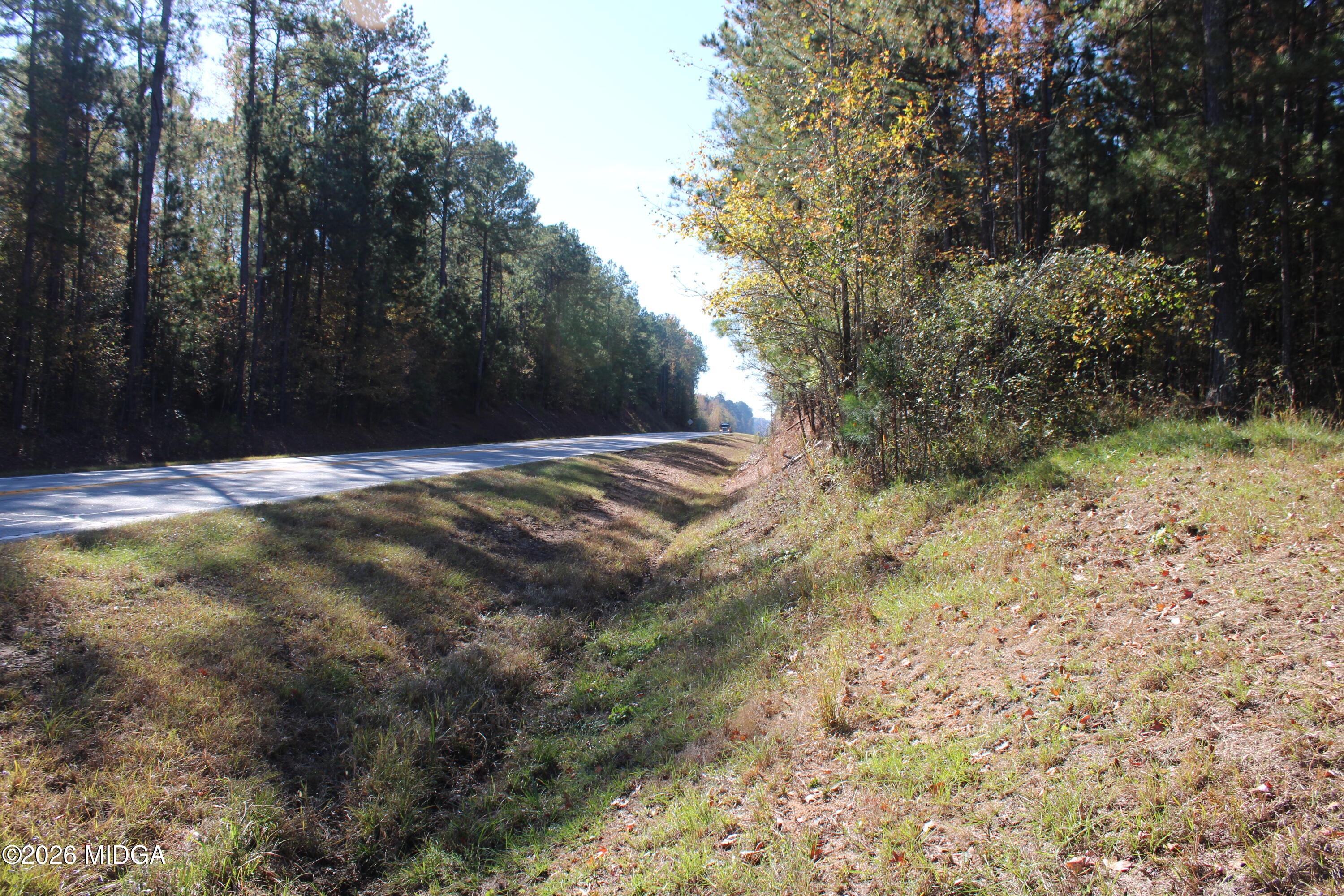 0 Highway 341 North Musella, GA 31066 - Photo 4 of 21 a view of outdoor space with trees