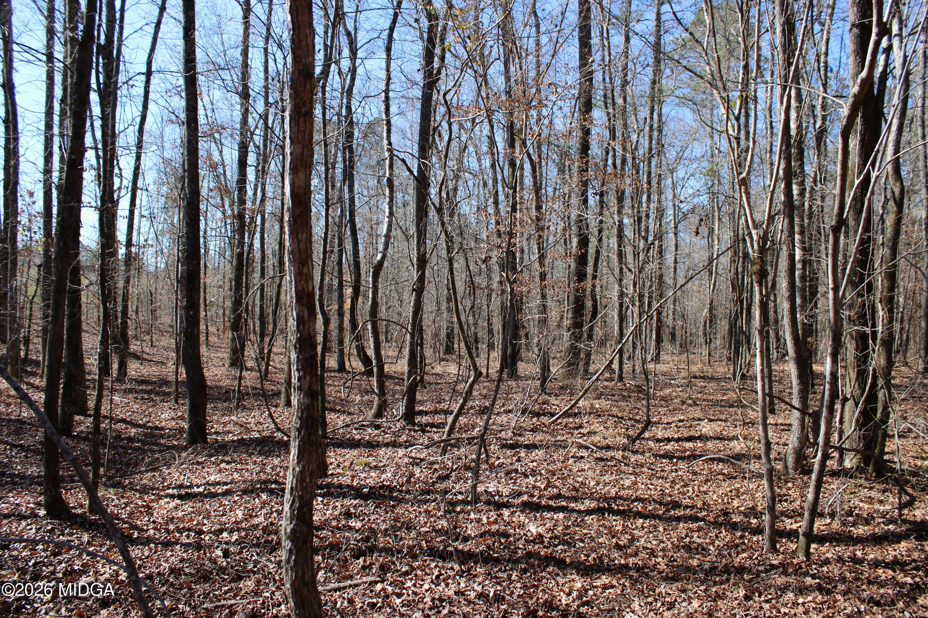 0 Highway 341 North Musella, GA 31066 - Photo 5 of 21 a view of a backyard of the house