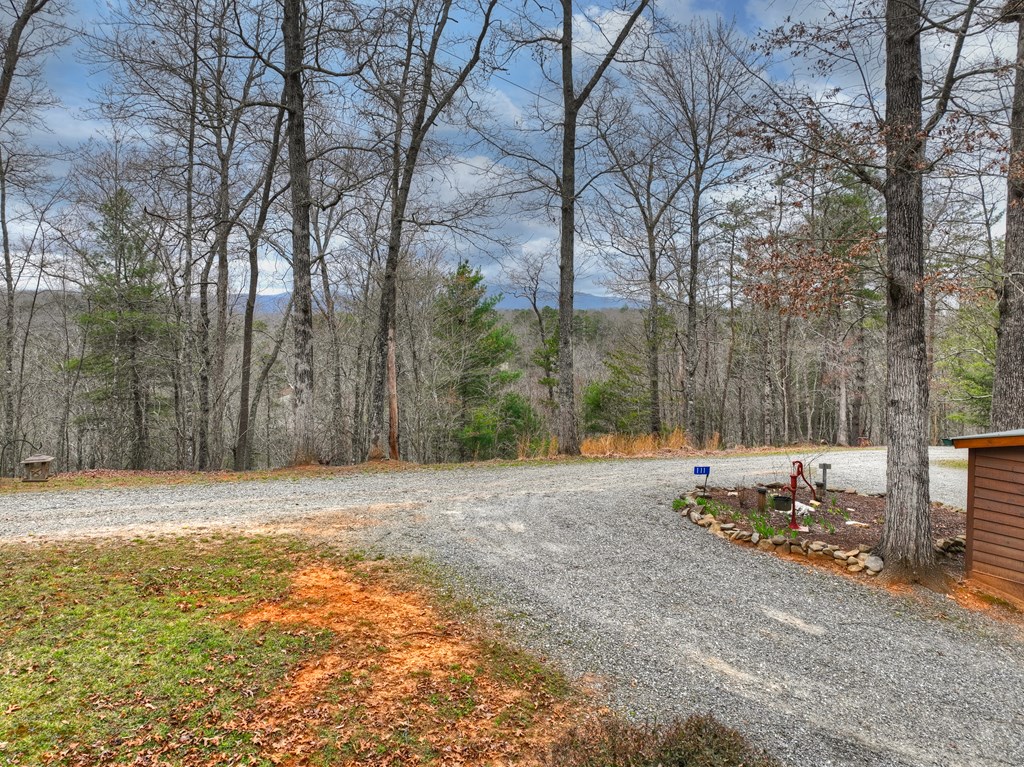 111 Roaring Creek Road Epworth, GA 30541 - Photo 16 of 63 a view of a yard with wooden fence
