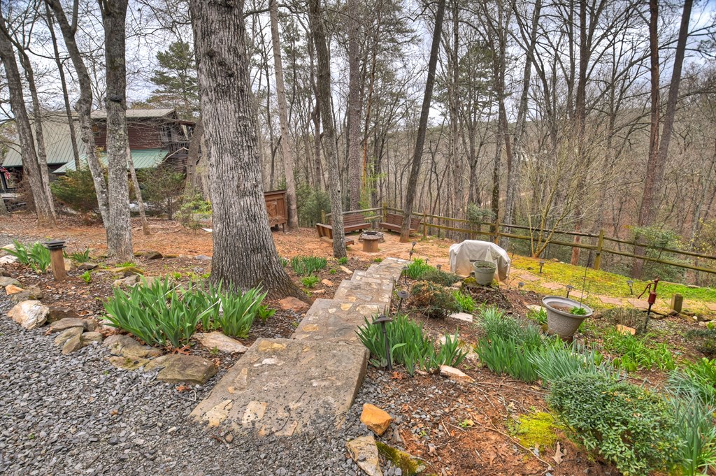 111 Roaring Creek Road Epworth, GA 30541 - Photo 29 of 63 a backyard of a house with table and chairs