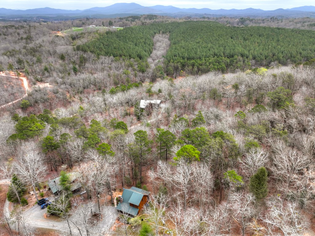 111 Roaring Creek Road Epworth, GA 30541 - Photo 32 of 63 a view of a lush green hillside and houses