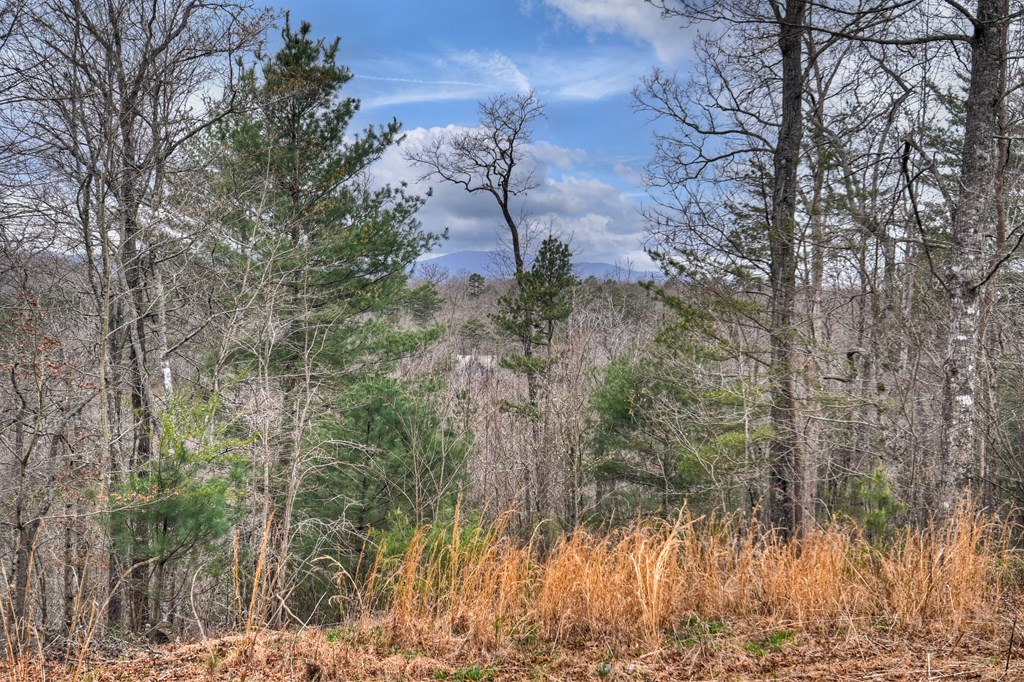 111 Roaring Creek Road Epworth, GA 30541 - Photo 33 of 63 a view of a yard