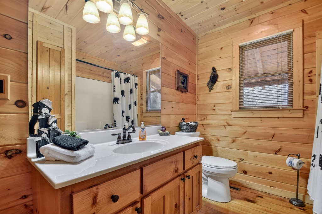 111 Roaring Creek Road Epworth, GA 30541 - Photo 56 of 63 a bathroom with a sink mirror vanity and toilet