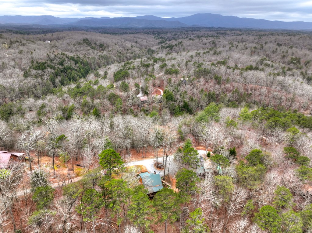 111 Roaring Creek Road Epworth, GA 30541 - Photo 58 of 63 a view of a city with lush green forest