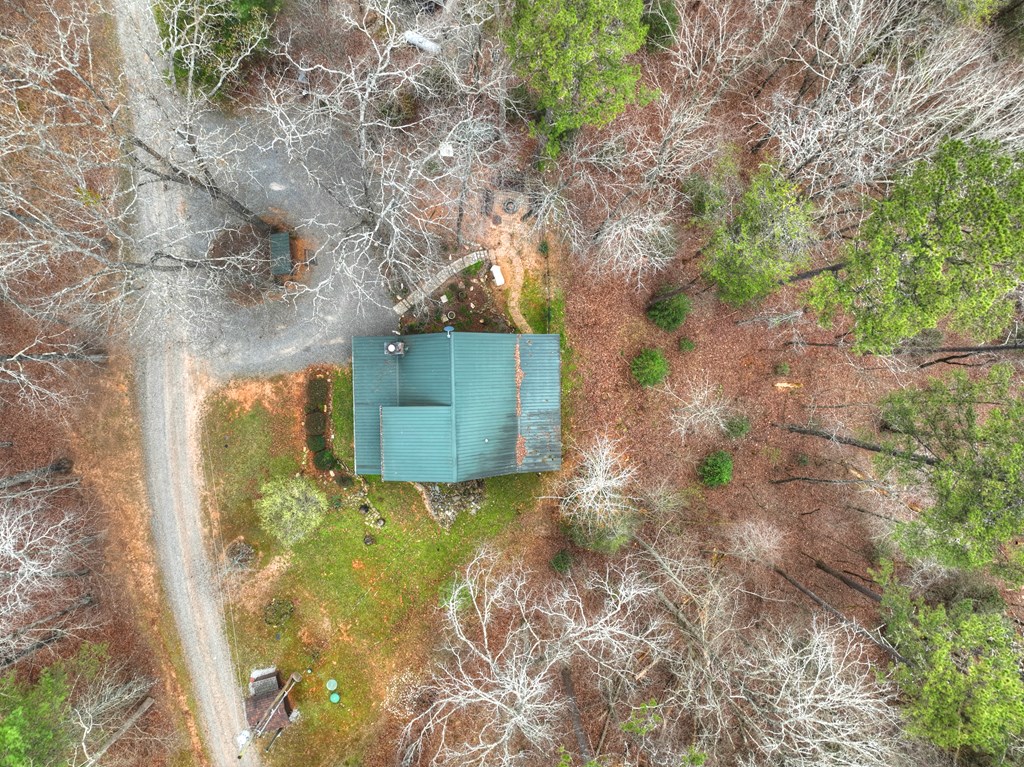 111 Roaring Creek Road Epworth, GA 30541 - Photo 61 of 63