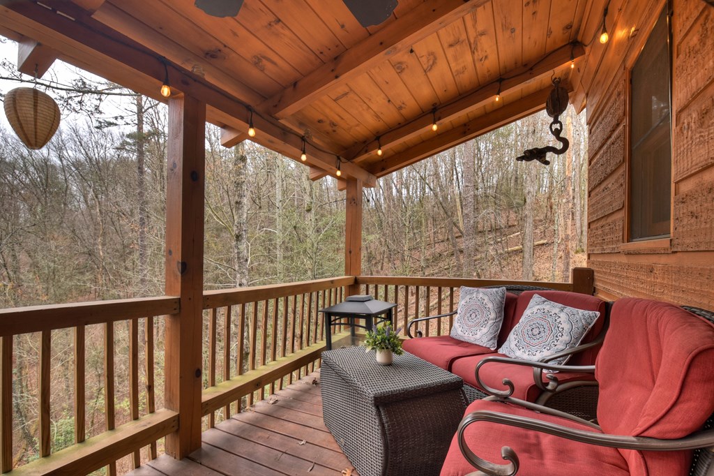 111 Roaring Creek Road Epworth, GA 30541 - Photo 9 of 63 a roof deck with couches and wooden floor