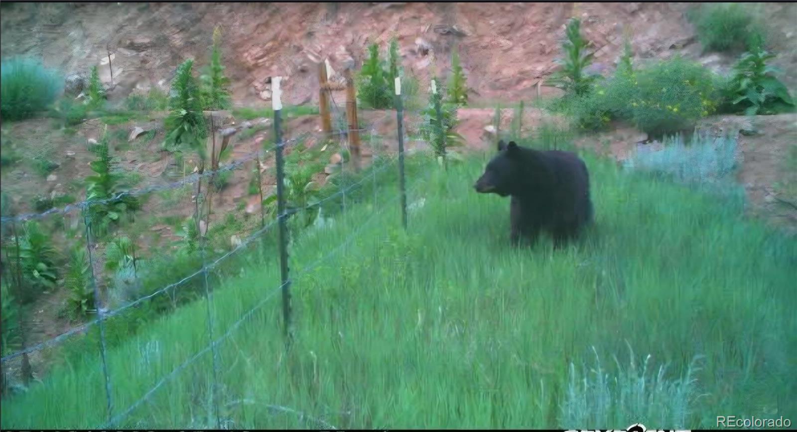6179 84 County Road Florence, CO 81226 - Photo 13 of 14 a view of a garden