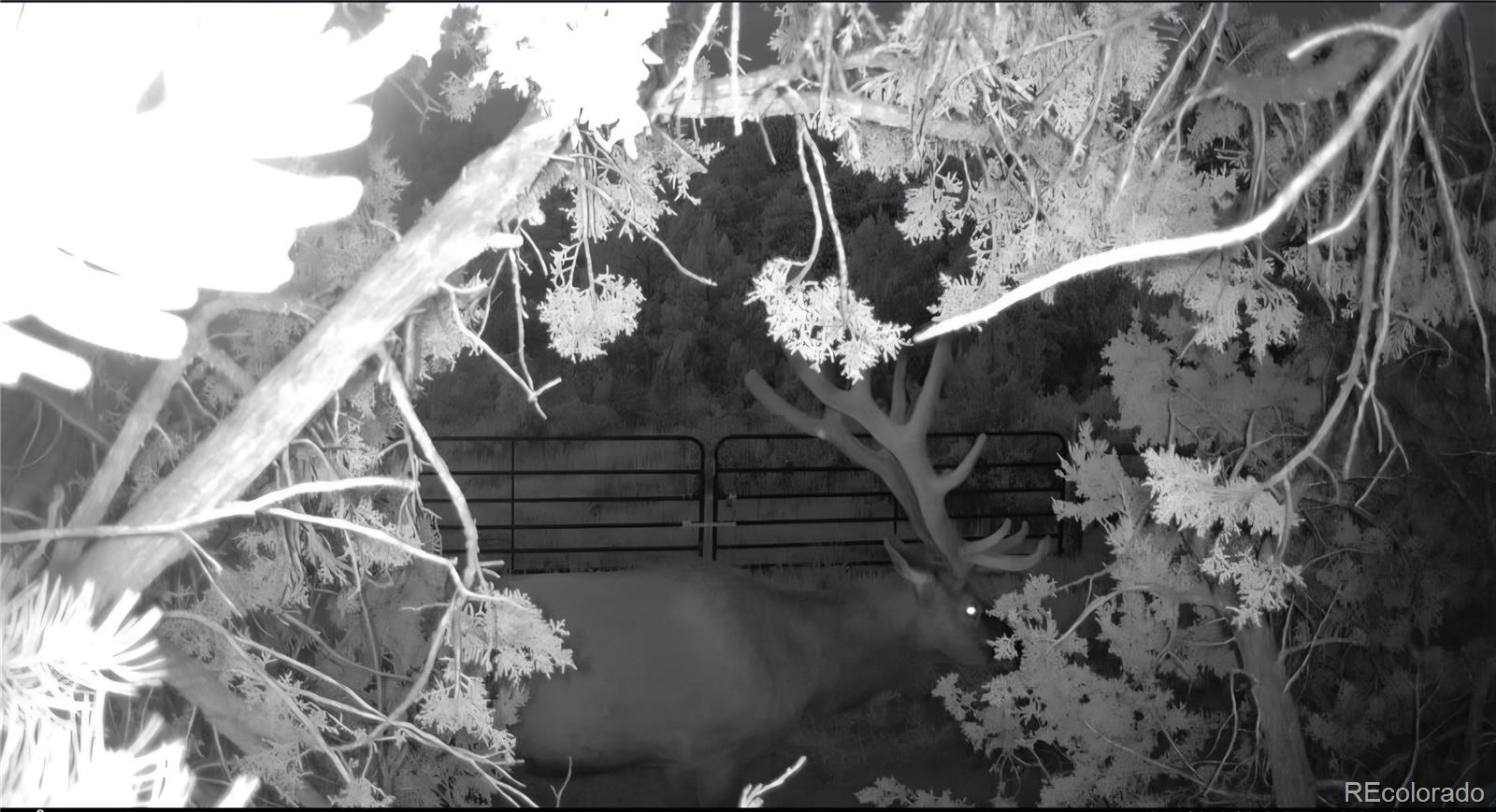 6179 84 County Road Florence, CO 81226 - Photo 5 of 14 a view of entryway