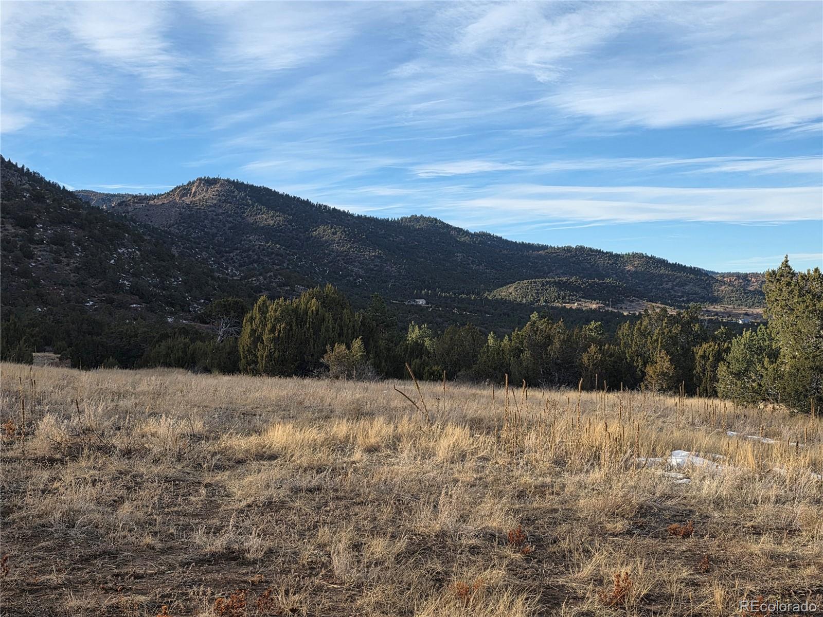 6179 84 County Road Florence, CO 81226 - Photo 8 of 14 a view of outside with green space