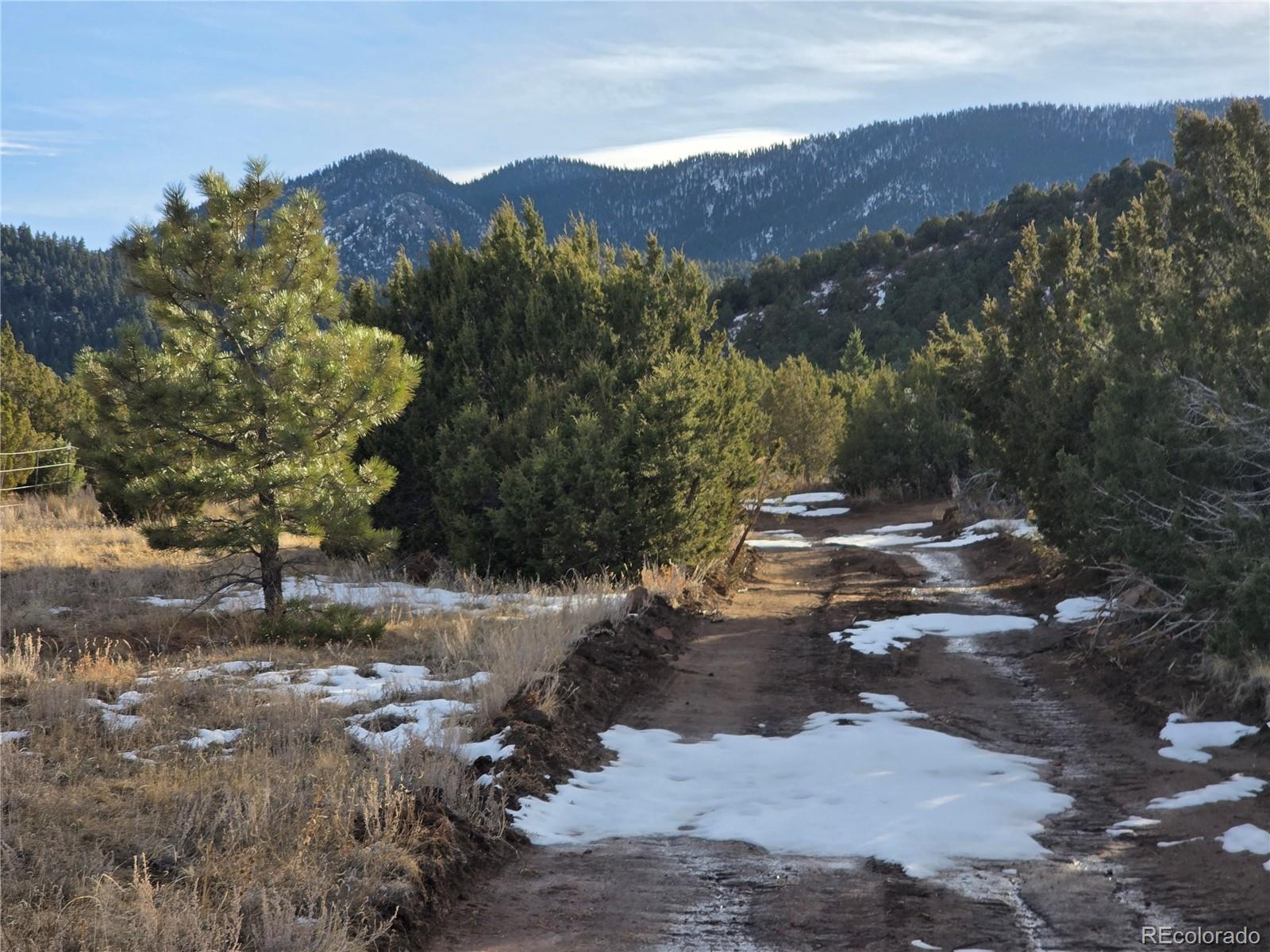 6179 84 County Road Florence, CO 81226 - Photo 10 of 14 a view of a street with a mountain