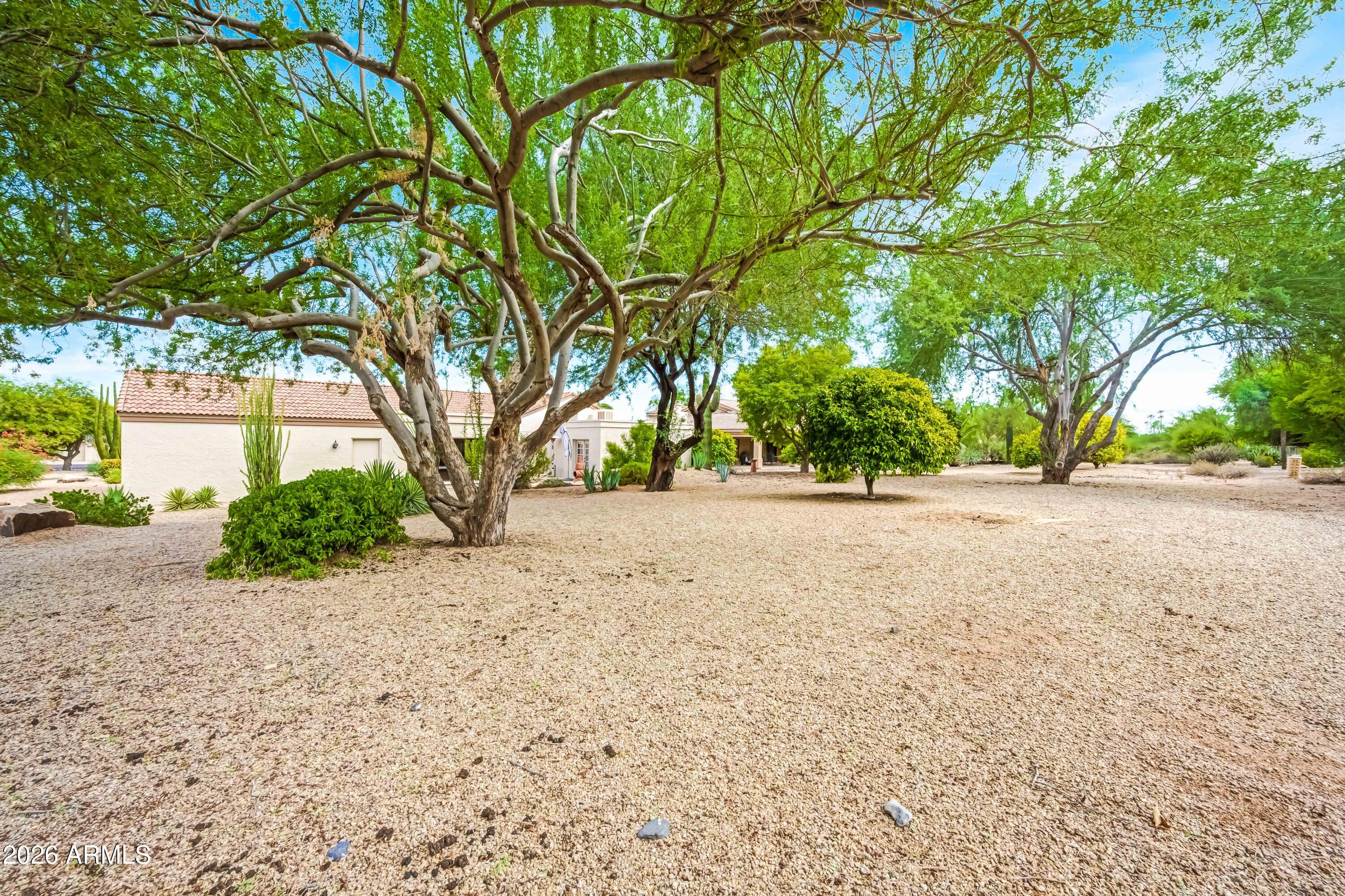 26628 North Avenida Del Ray Rio Verde, AZ 85263 - Photo 40 of 54 Bakc Yard