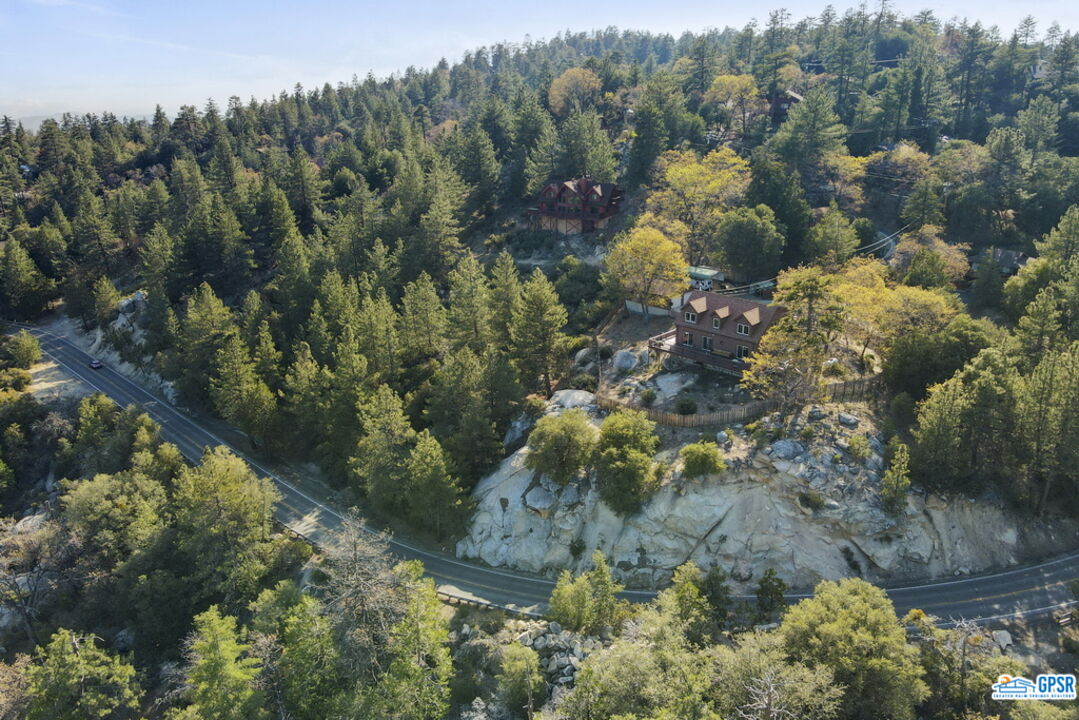 53305 Big Rock Drive Idyllwild, CA 92549 - Photo 4 of 67 a view of a tree in a yard