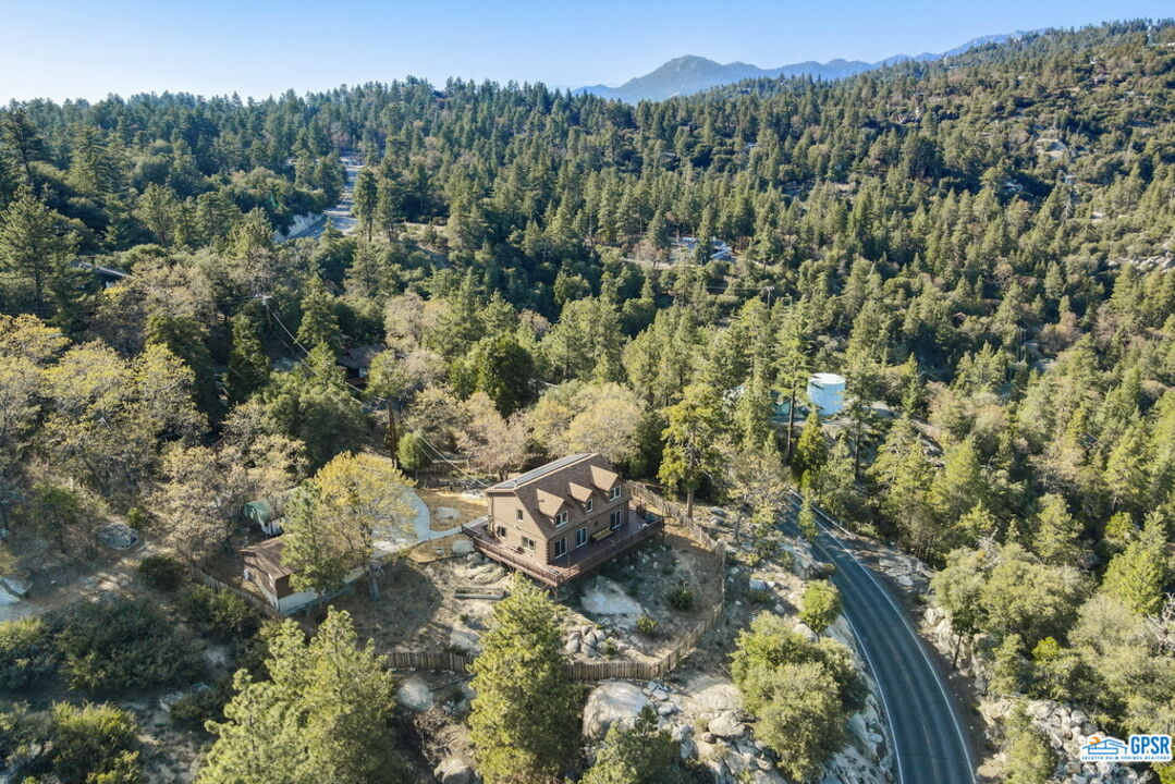 53305 Big Rock Drive Idyllwild, CA 92549 - Photo 66 of 67 a view of a forest with a forest