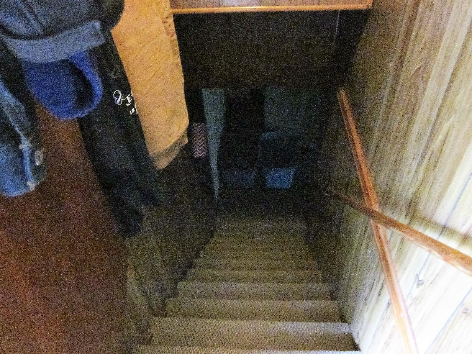 4285 Old Forge Road Rocky Mount, VA 24151 - Photo 28 of 40 Stairs to Lower