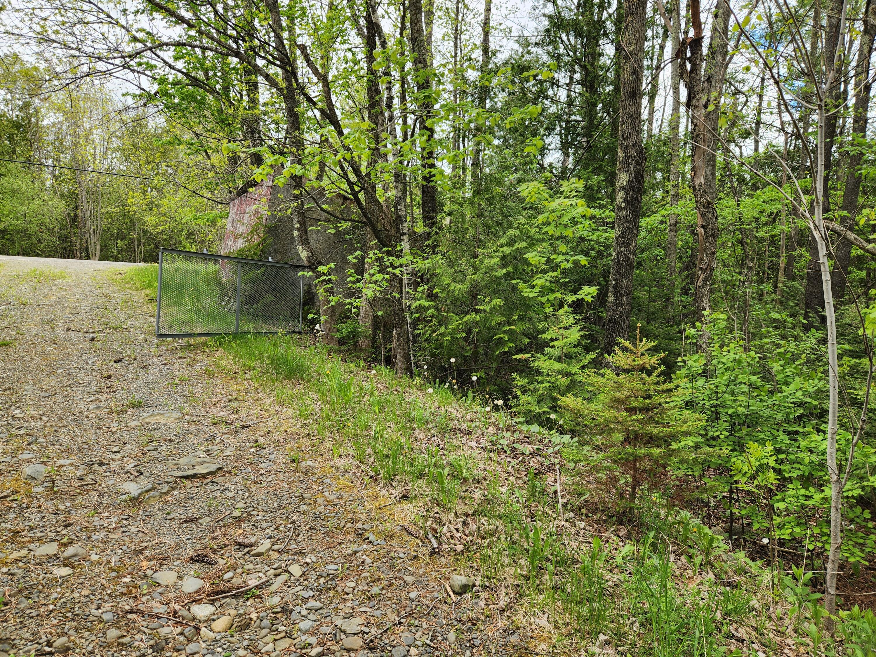 510 Dexter Road Garland, ME 04939 - Photo 24 of 34 20250521_090755