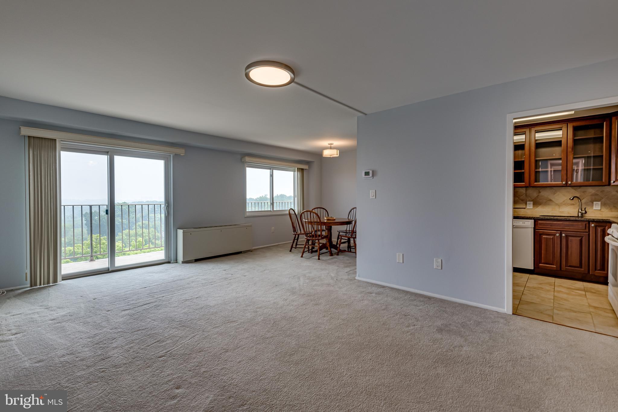 1111 University Boulevard West, Unit 1216A Silver Spring, MD 20902 - Photo 10 of 36