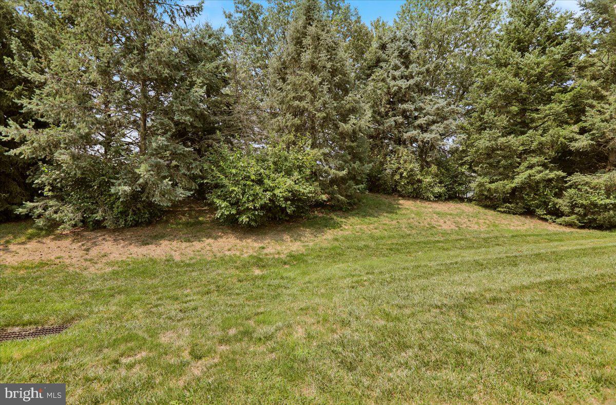 130 Gantz Meadows Mount Joy, PA 17552 - Photo 34 of 35 back yard