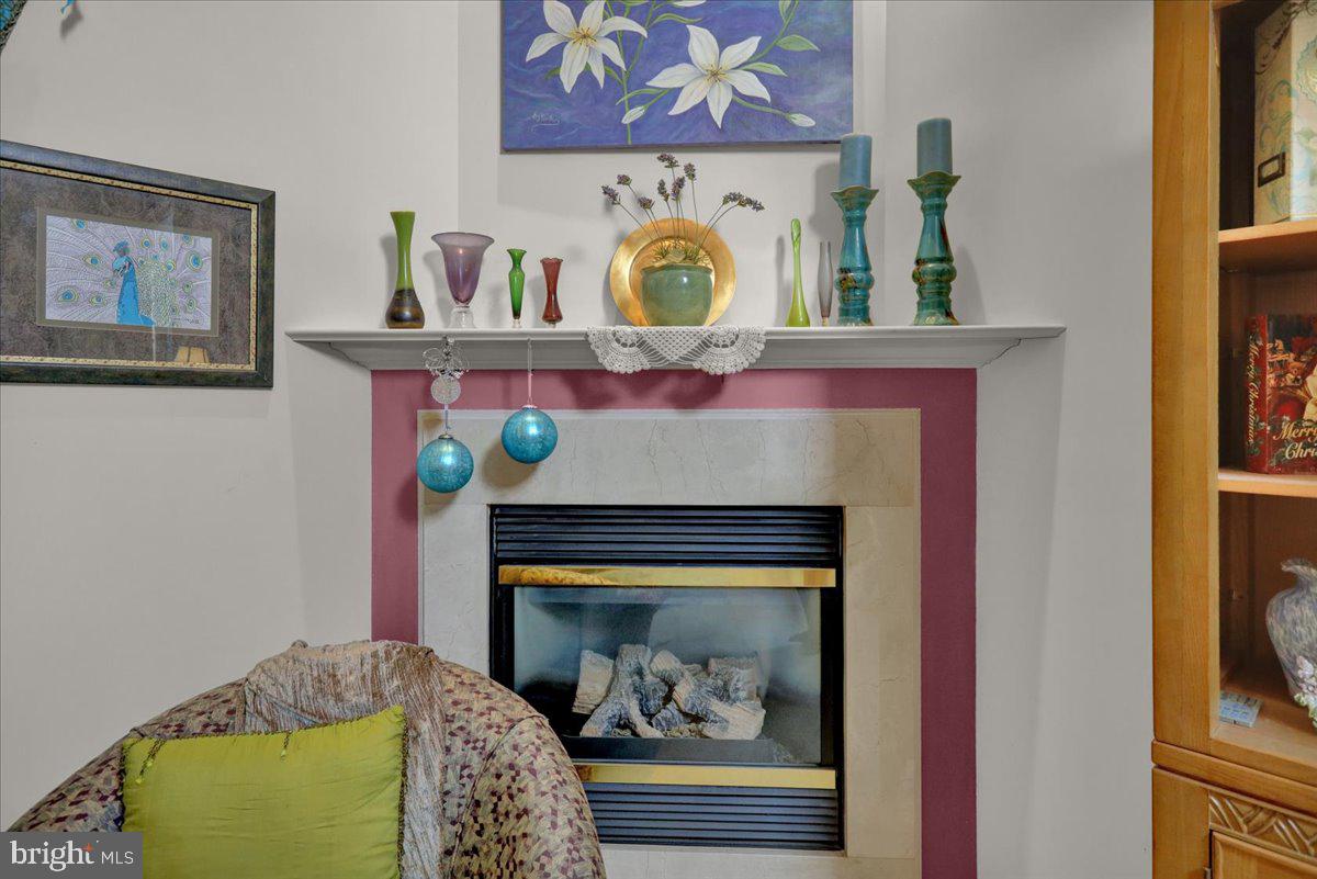 130 Gantz Meadows Mount Joy, PA 17552 - Photo 6 of 35 Gas FP