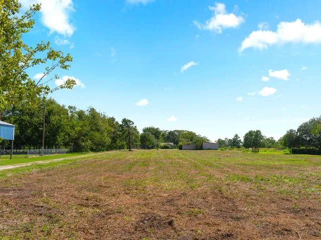 a view of a grassy field with an trees