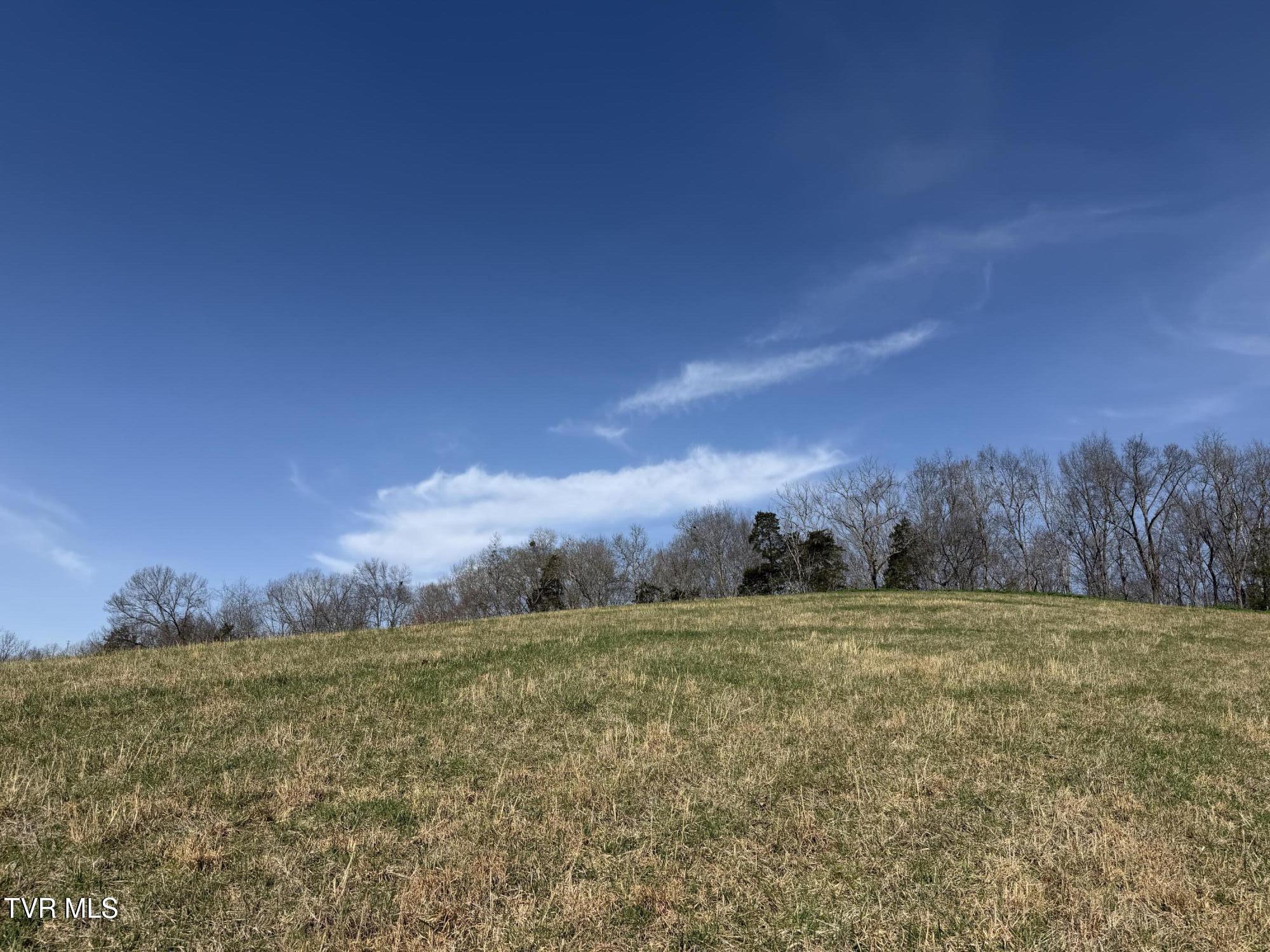 1578 Hunting Hill Road Bluff City, TN 37618 - Photo 20 of 20 IMG_5727