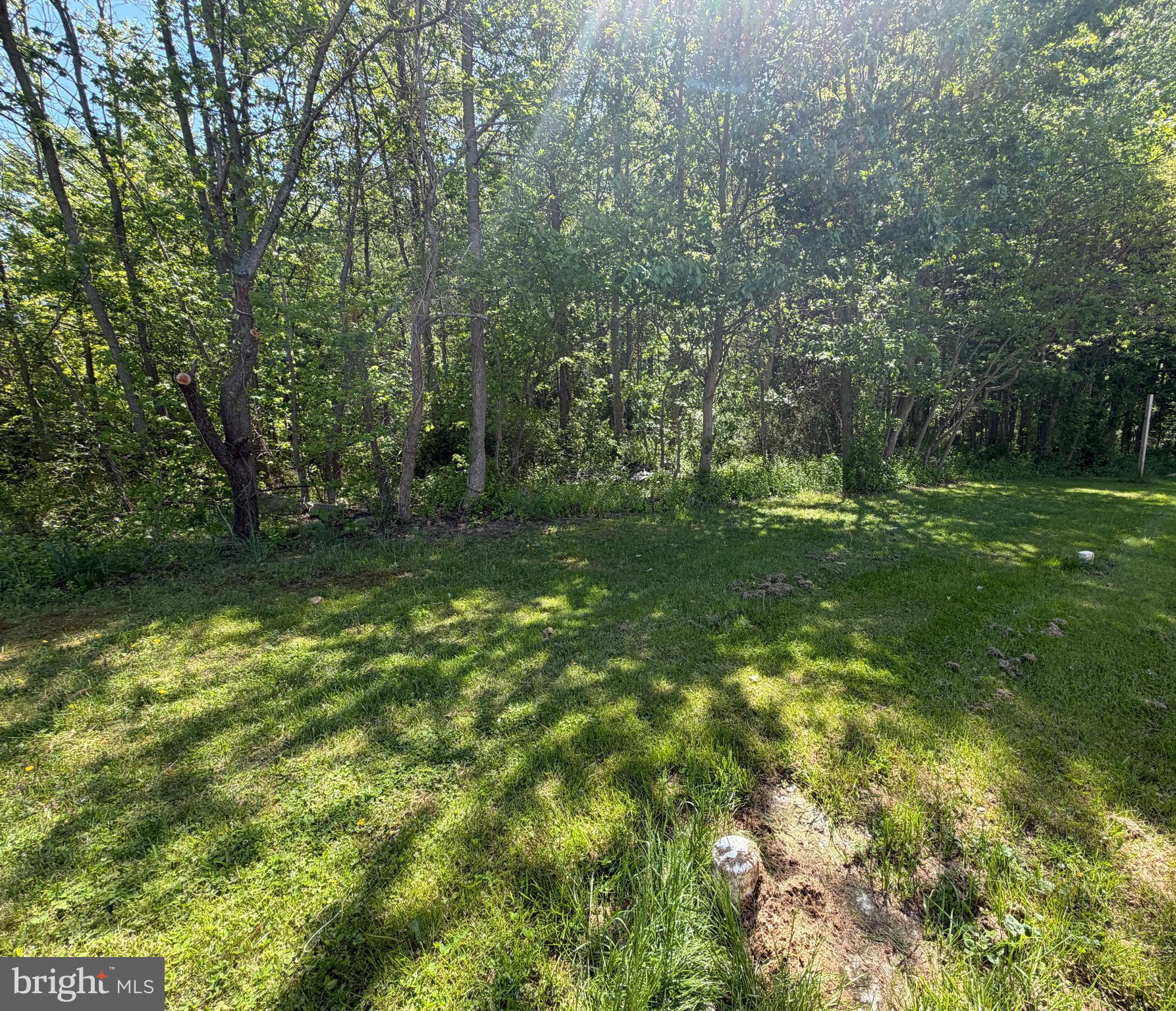 6386 Summit Bridge Road Townsend, DE 19734 - Photo 4 of 8 a big yard with lots of green space and trees