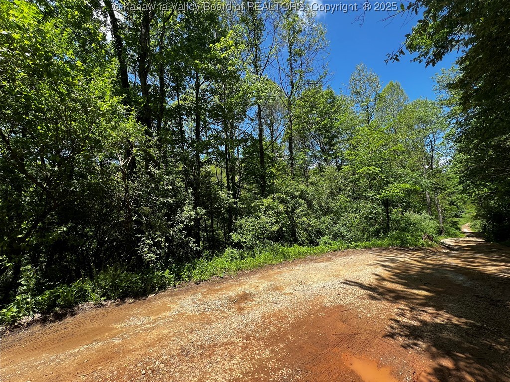 0 Plantation Road Charleston, WV 25312 - Photo 6 of 13 Gallery Image 6
