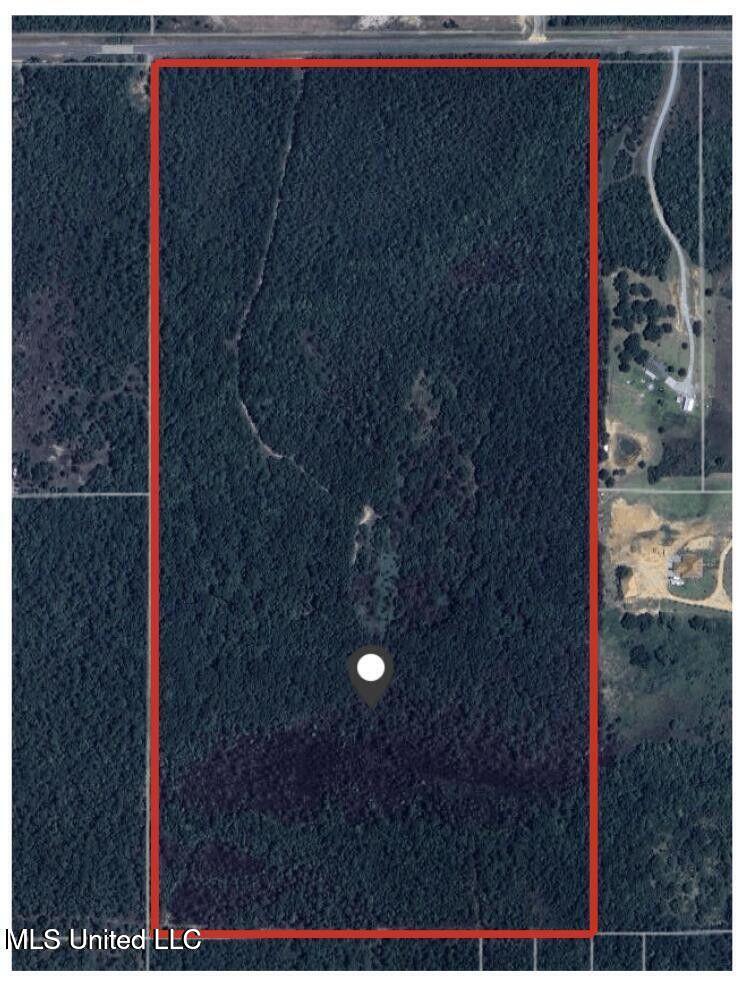 0 16 Section Road Pass Christian, MS 39571 - Photo 3 of 4 20250407183816506299000000-o
