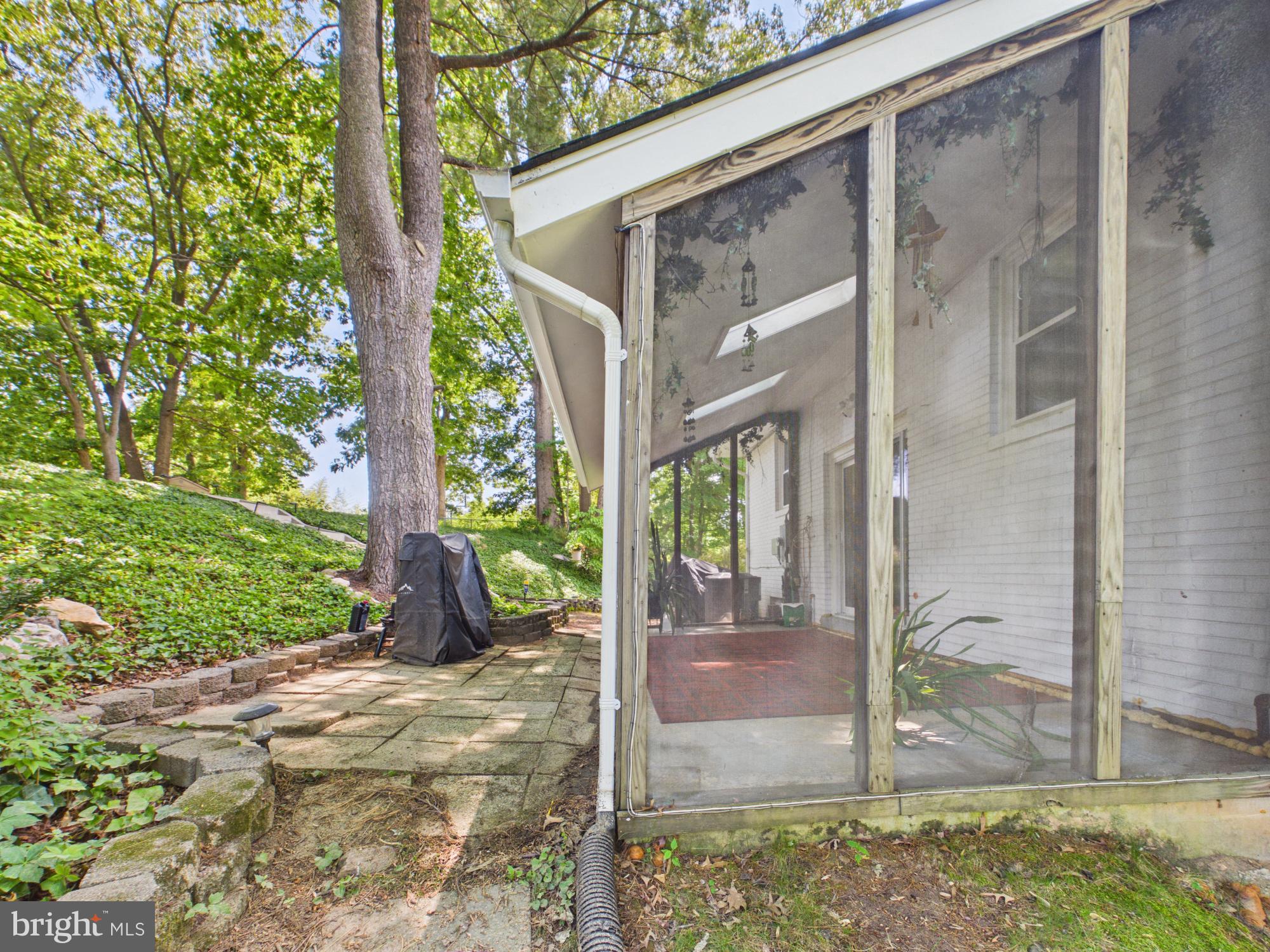 5512 Kathleen Place Springfield, VA 22151 - Photo 36 of 42 Serene outdoor retreat with lush greenery.