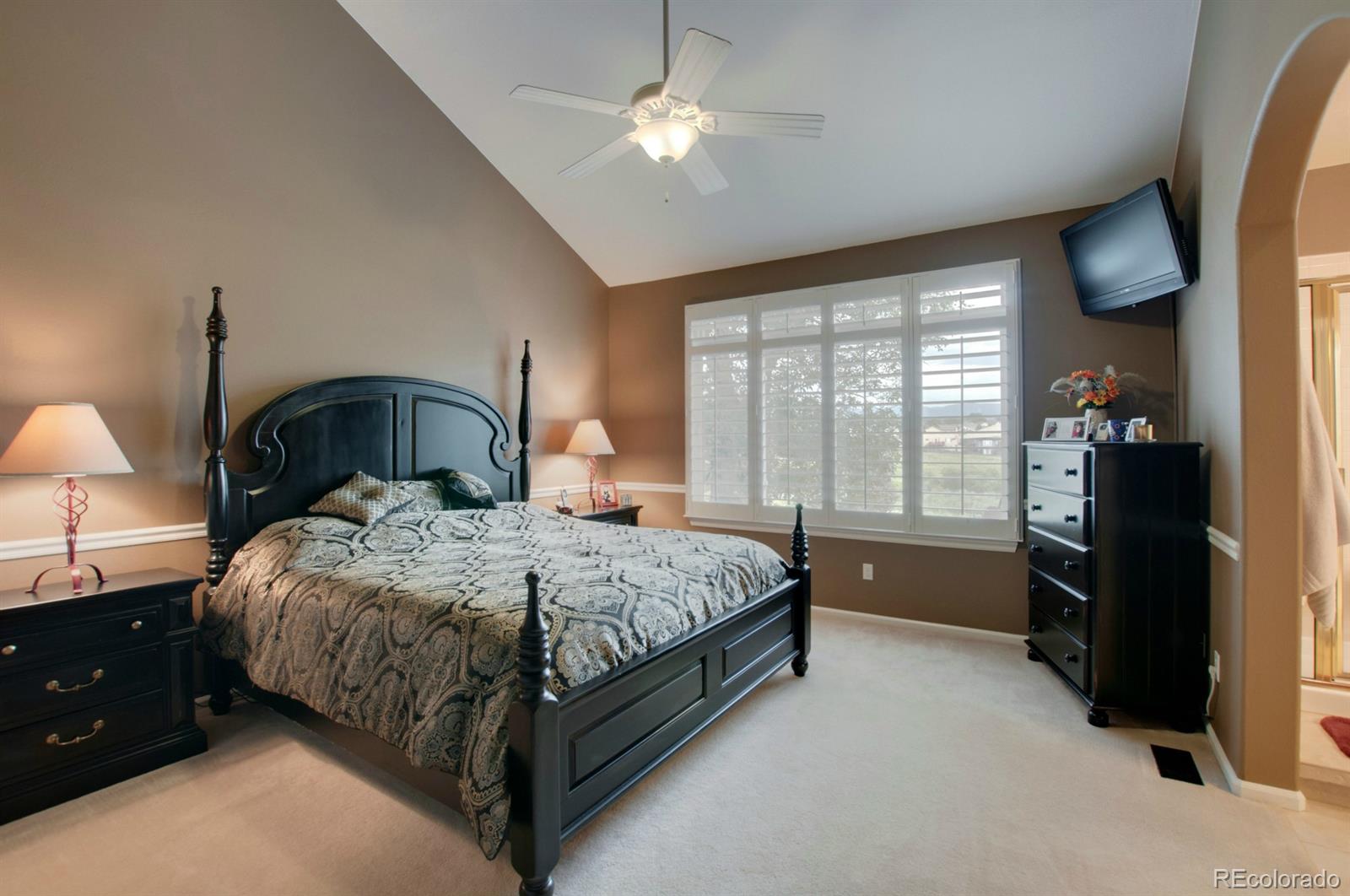 9938 Silver Maple Road Highlands Ranch, CO 80129 - Photo 12 of 30 Gallery Image 12