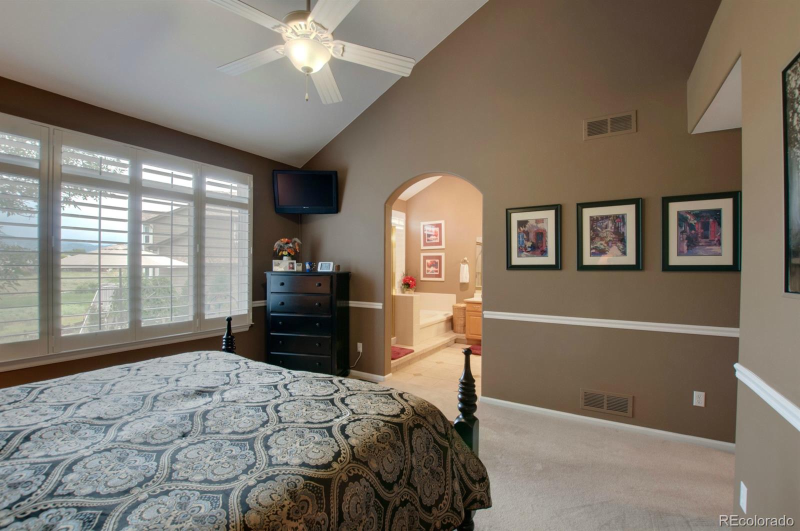9938 Silver Maple Road Highlands Ranch, CO 80129 - Photo 13 of 30 Gallery Image 13