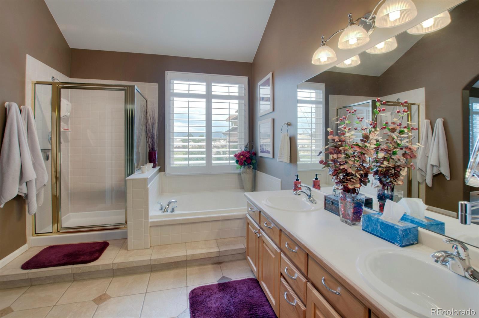 9938 Silver Maple Road Highlands Ranch, CO 80129 - Photo 16 of 30 Gallery Image 16
