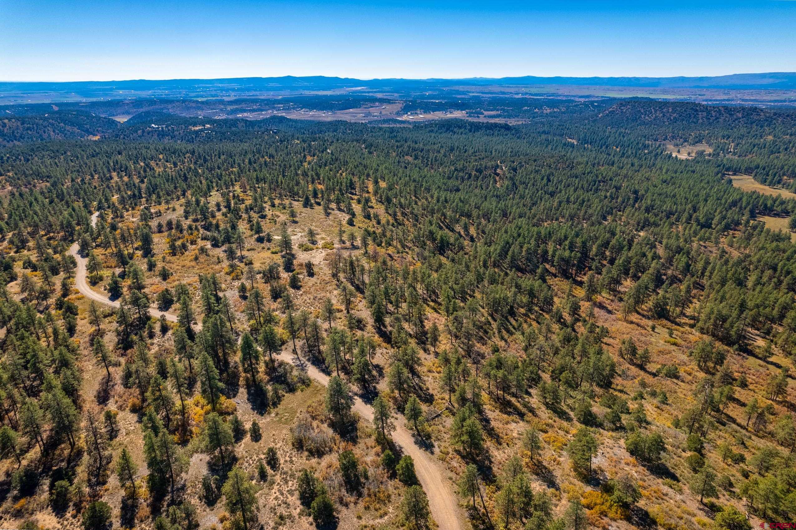 Lot 3 Foxfire Ranch Bayfield, CO 81122 - Photo 12 of 19 a view of a lush green field