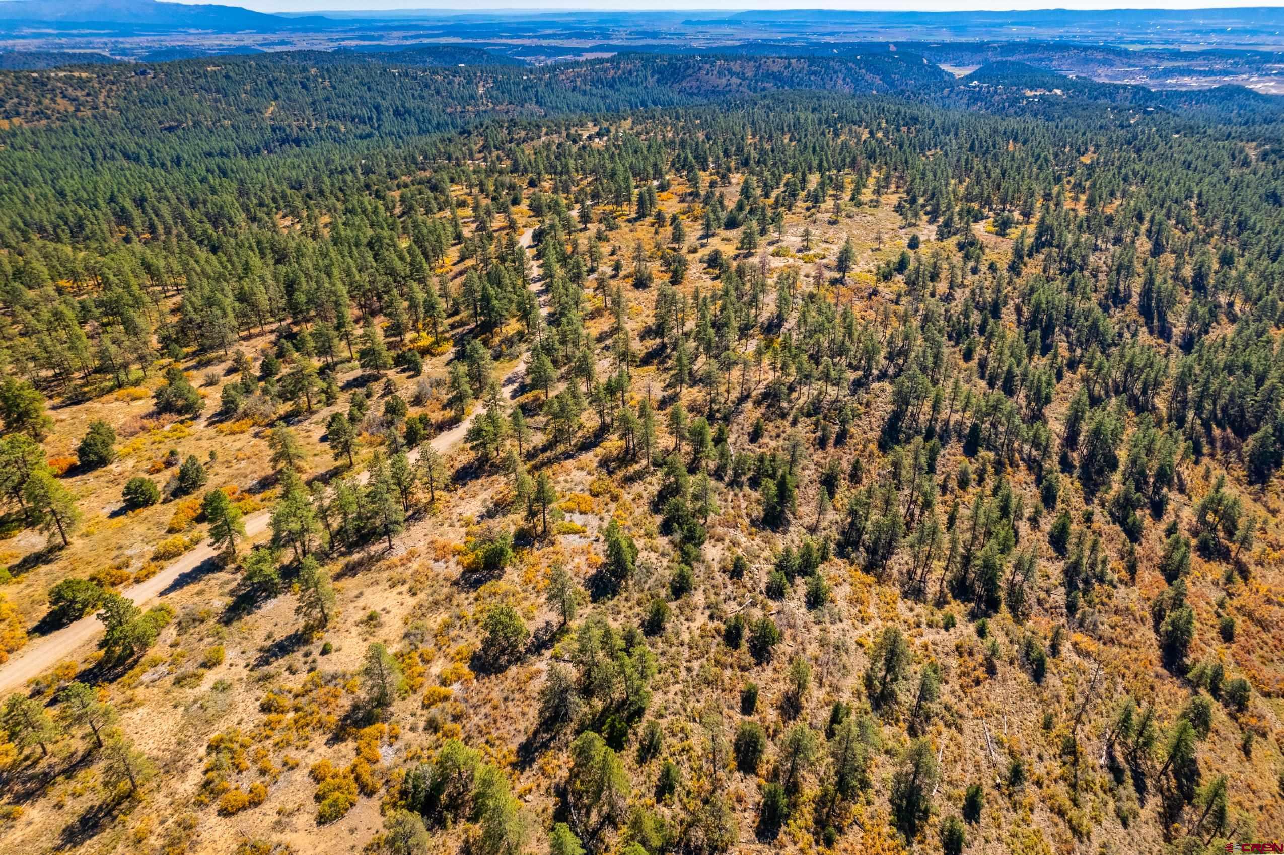 Lot 3 Foxfire Ranch Bayfield, CO 81122 - Photo 13 of 19 a view of a city and mountain