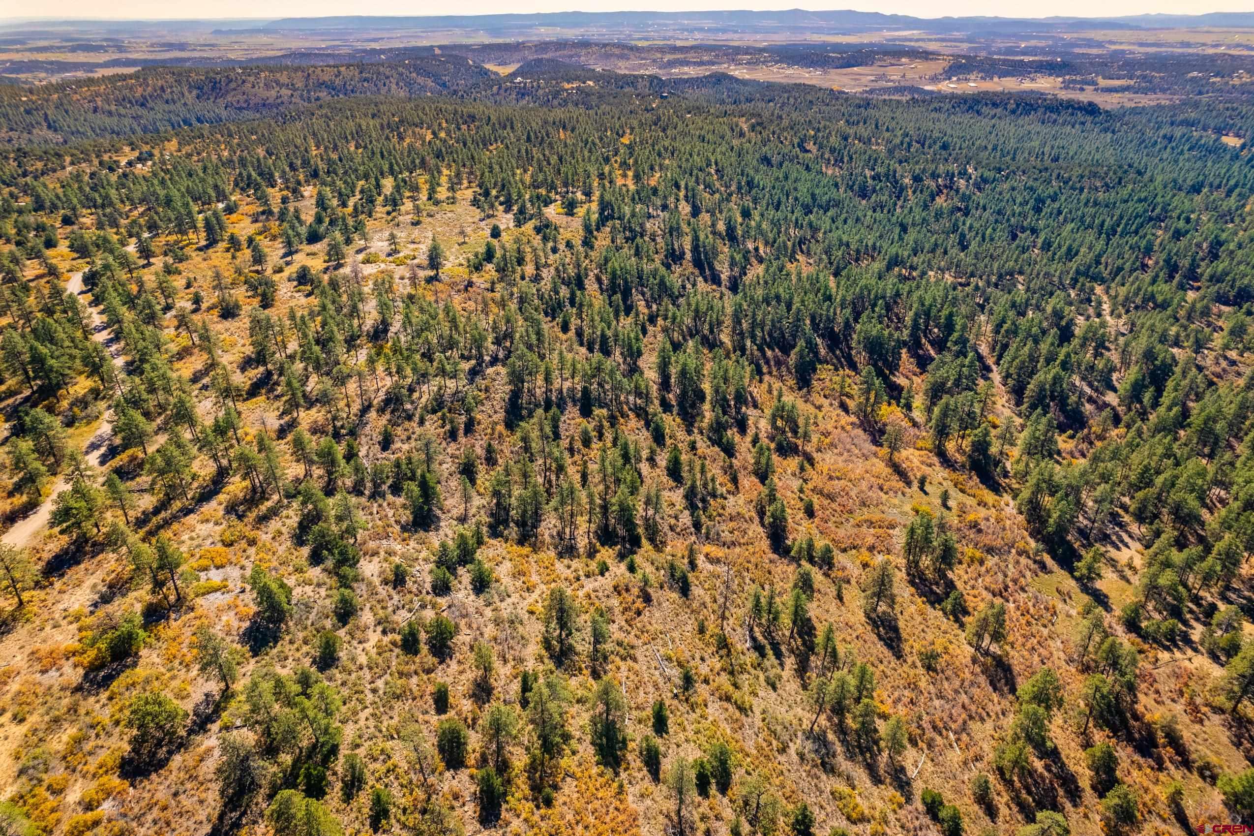 Lot 3 Foxfire Ranch Bayfield, CO 81122 - Photo 14 of 19 a view of a city with lush green forest