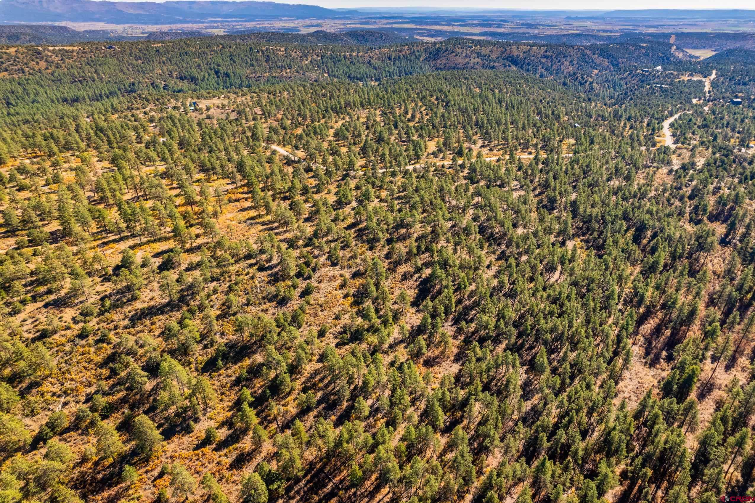 Lot 3 Foxfire Ranch Bayfield, CO 81122 - Photo 15 of 19 a view of a field with a mountain in the background