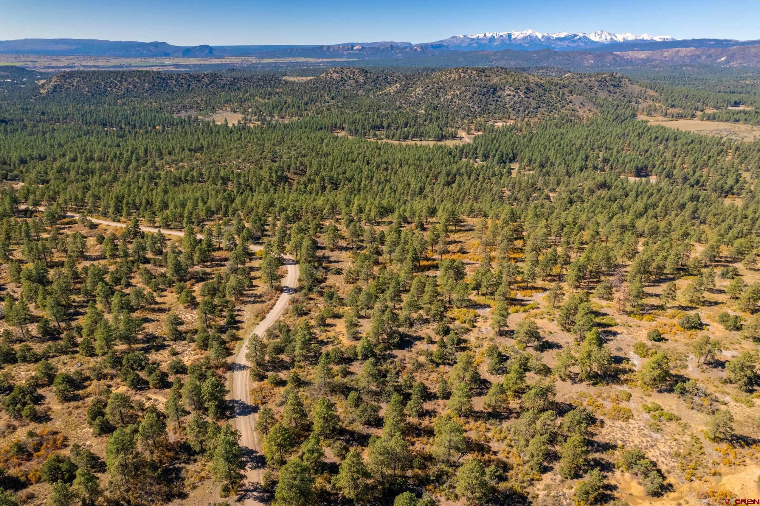 Lot 3 Foxfire Ranch Bayfield, CO 81122 - Photo 18 of 19 a view of a city with lush green forest